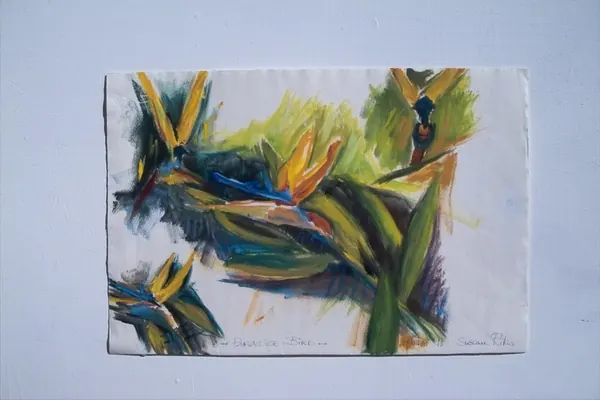 Bird of Paradise – Susanne Rikus