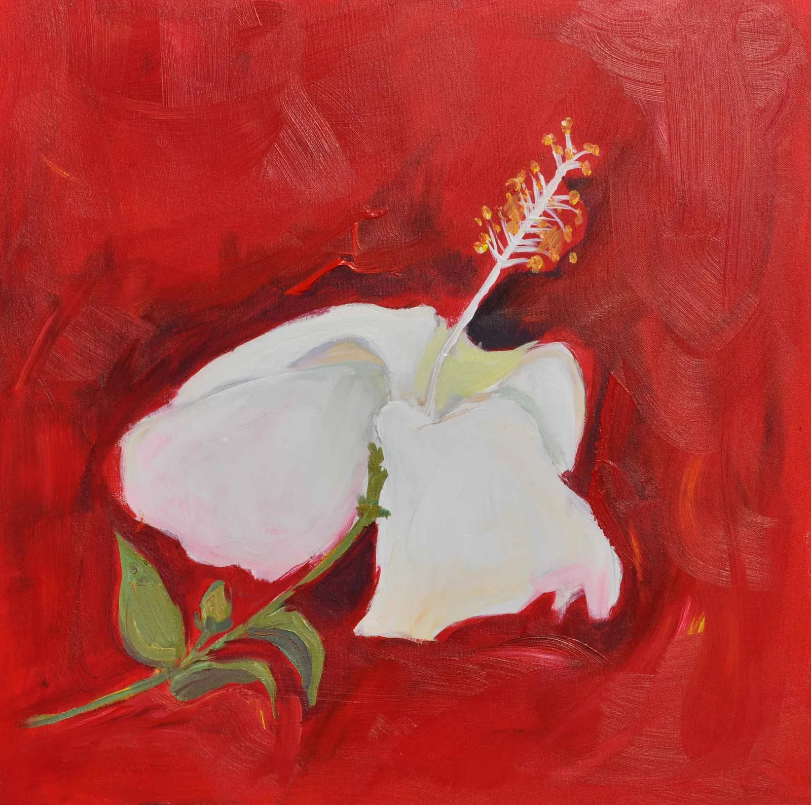 White hibiskus – Acrylic on canvas, 60 × 60 × 2 cm – Susanne Rikus