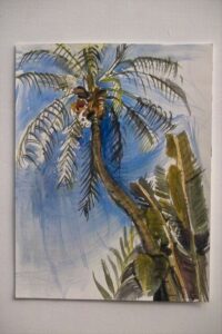 Palm Tree-Hawaii