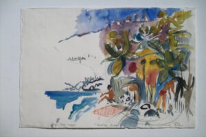 Hawaii, Delphin Bay 2